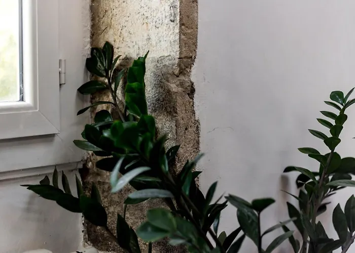 Lägenhet Bel Du Vieux - Parking Inclus Ail *